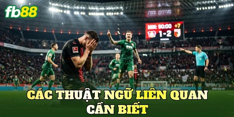 Các thuật ngữ liên quan cần biết
