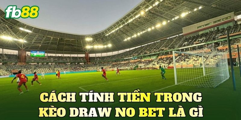 Cách tính tiền trong kèo Draw No Bet là gì