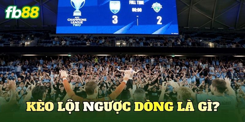 Cách Bắt Kèo Lội Ngược Dòng Chuẩn Nhất Cho Người Chơi 2 Kèo lội ngược dòng là gì?