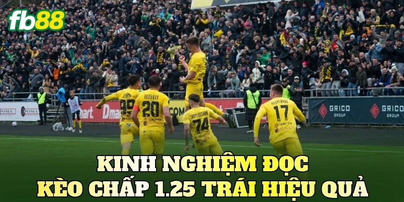 Cách Chơi Kèo Chấp 1.25 Trái Chuẩn Cho Người Mới 4 Kinh nghiệm đọc kèo chấp 1.25 trái hiệu quả