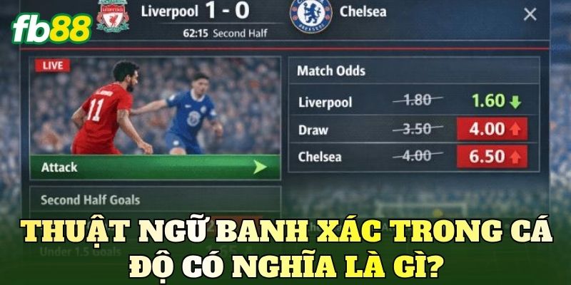 Kèo Cầu Thủ Ghi Bàn Thắng Là Gì? Thông Tin Cần Biết 2 Kèo cầu thủ ghi bàn thắng là gì?