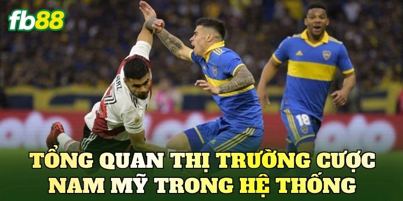 Lưu Ý Kèo Bóng Đá Nam Mỹ Khi Phân Tích Kèo FB88 Chuẩn Xác 2 Tổng quan thị trường cược Nam Mỹ trong hệ thống