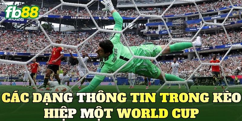 Các dạng thông tin trong kèo hiệp một World Cup