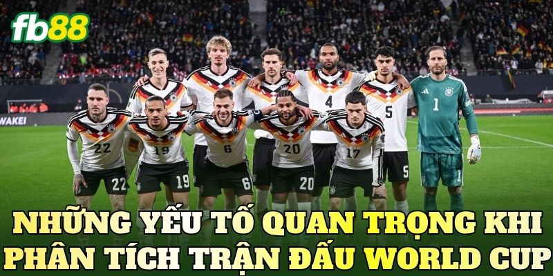 Những yếu tố quan trọng khi phân tích trận đấu World Cup