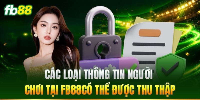 Các loại thông tin có thể được thu thập