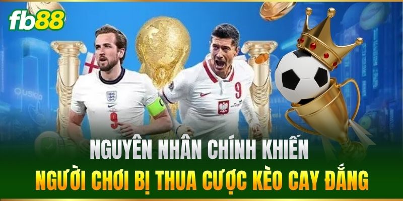 Nguyên nhân chính khiến người chơi bị thua cược kèo cay đắng